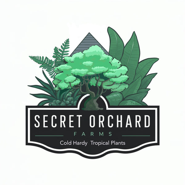 Secret Orchard Nursery