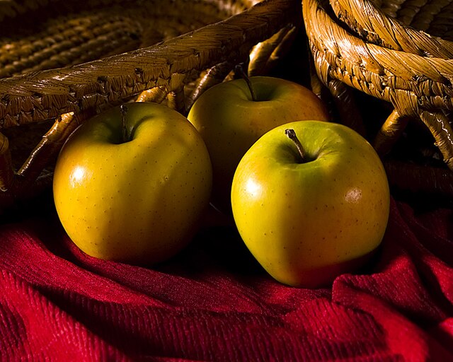 Lodi Apple Tree