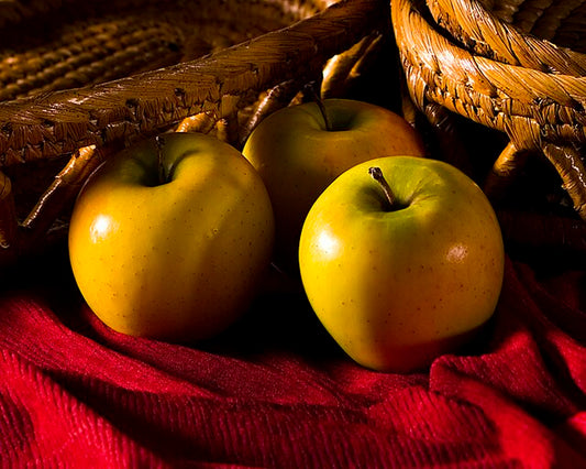 Lodi Apple Tree
