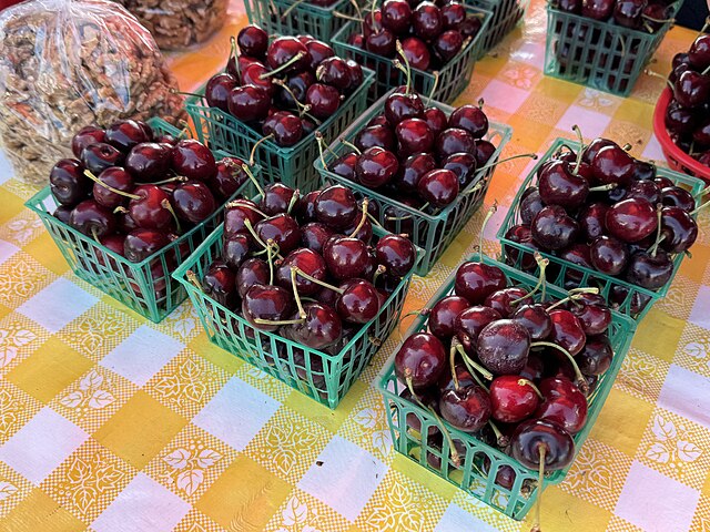 Black Tartarian Cherry Tree